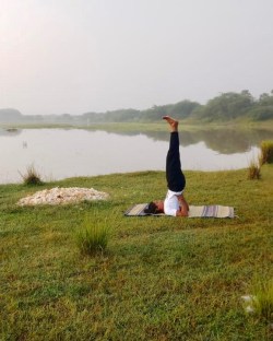 4f7a2300-7334-46a6-bc01-9077ca1c5f7a