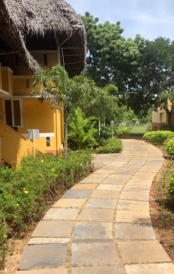 Screen Shot 2020-05-04 at 3.08.02 PM